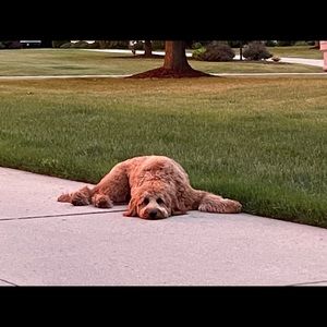 Meet your Posher, Ian